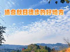 -五凤溪古镇