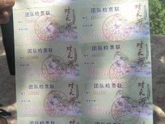 门票-对天河漂流