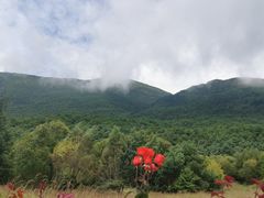 -丽江玉水寨
