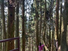 -井冈山风景名胜区-黄洋界