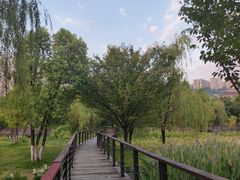 -沐仙湖湿地公园