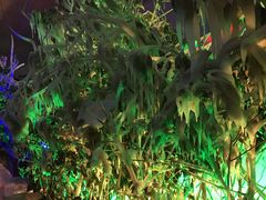 -新安江山水画廊风景区