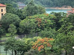 -河源万绿湖美思威尔顿酒店