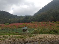 -广州市石门国家森林公园