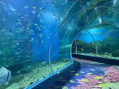 -顺德南宏海立方海洋公园
