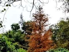 -广东金融学院(校本部)