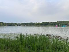 -昆山城市生态森林公园