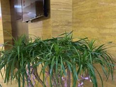 -益健·足疗汗蒸SPA(芙蓉广场店)