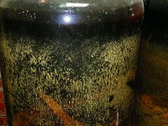 android_upload_pic-胖子菜馆(隆昌路店)