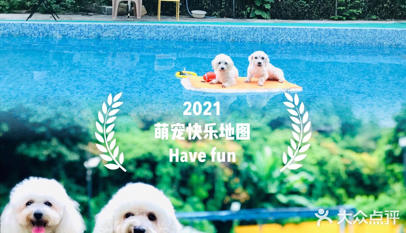 萌宠 | 妞妞和小伙伴们爱去的宠物乐园
