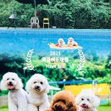 萌宠 | 妞妞和小伙伴们爱去的宠物乐园