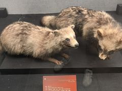 -昆明动物博物馆