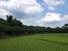 -红山村