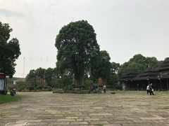 -韩湘水博园