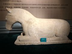 -宁夏博物馆
