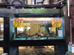 门面-海晖酒楼·顺德鱼生(荣华店)