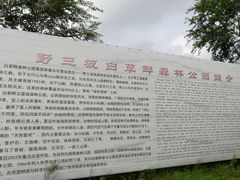 -野三坡百草畔景区