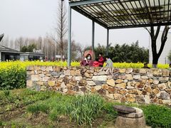 -田园东方蜜桃村的田野营地