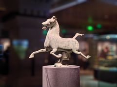 -甘肃省博物馆