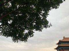 -包满意面包糕点(东坝店)