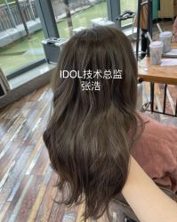 -IDOL-PLUS