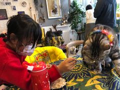 -平行世界·猫咖(首经贸店)
