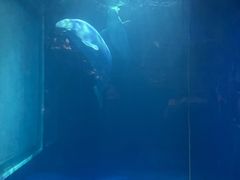 -大连圣亚海洋世界