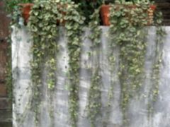 外景-明堂青年旅舍