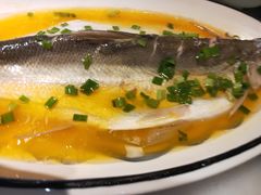 鸡汁蒸白鱼-京城小江南·北京烤鸭·江南土菜·白鱼(中关村店)