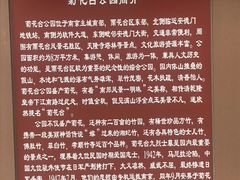 -菊花台公园