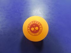 -腾翔乒乓球培训(亚运村店)