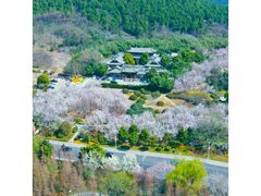 -云龙山
