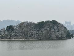 -九江市博物馆