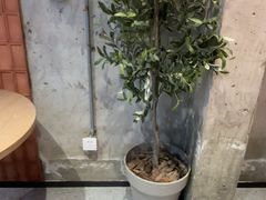 -必胜客(上海华谊新所店)