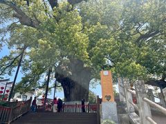 -新安江山水画廊风景区