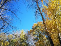 -山河屯铁锅炖(哈西站店)