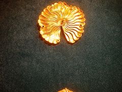 -中国江南水乡文化博物馆