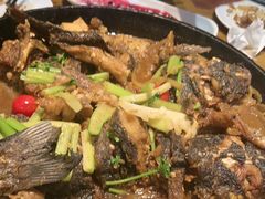 -老板恋上鱼(印象城店)