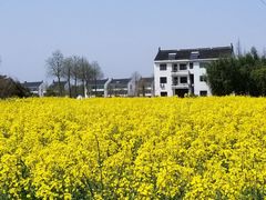 -锦江中华村农家乐饭庄