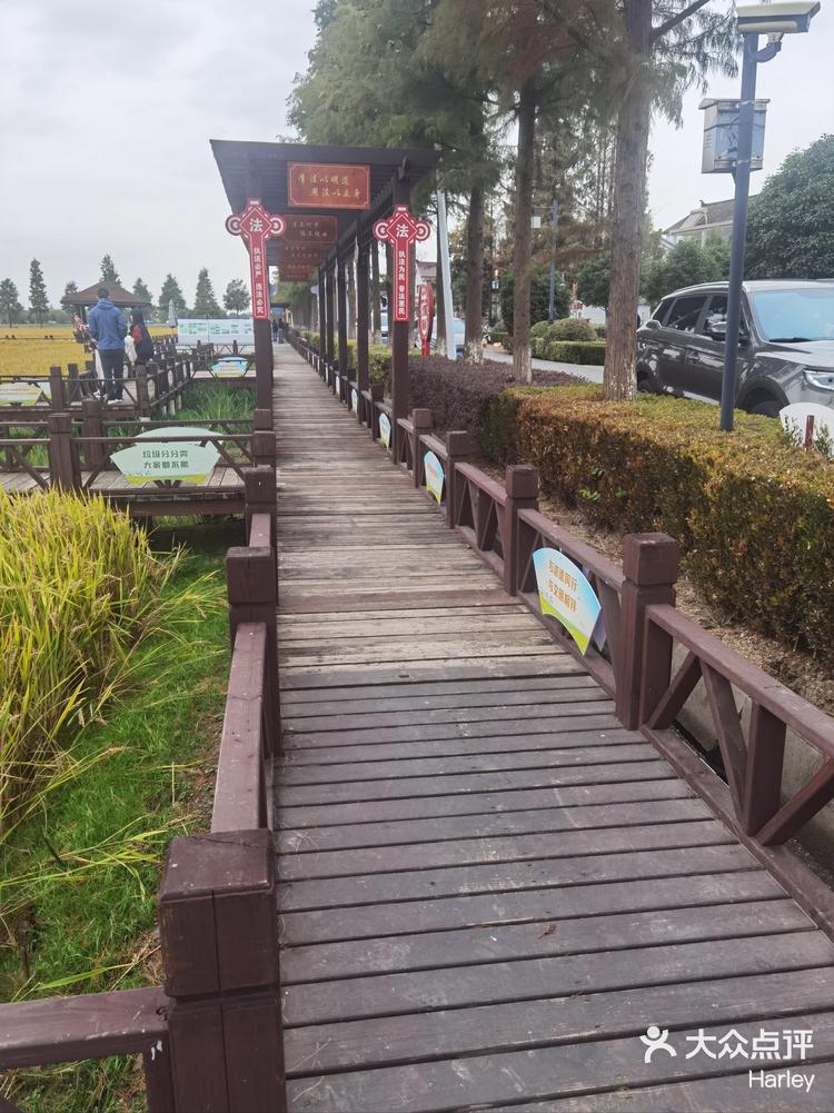 横泾东林渡稻谷之乡