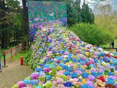 -上海共青森林公园