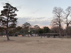-奈良公园