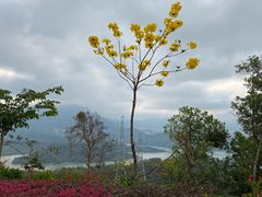 -求水山公园