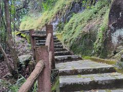 -广州白江湖森林公园