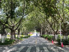-厦门大学(思明校区)