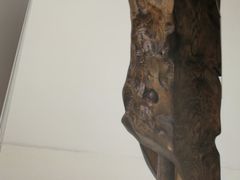 -胶囊画廊