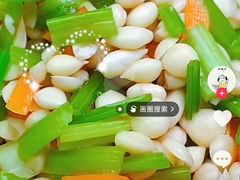 -天鹅到家·保姆月嫂育儿嫂(总店)