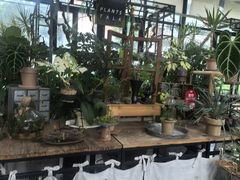 -北马山庄植趣咖啡