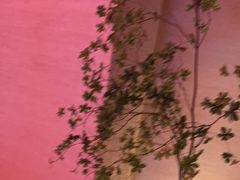 -舒小悦·暖冬SPA·古法推拿(光环中心店)