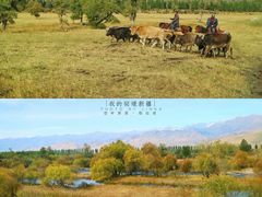 -新疆那拉提国家旅游度假区